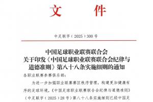 中足联发纪律细则:赛区球队对观众行为负责,多类不当行为从重罚