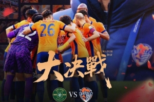 ⏰2025年11月22日 15:30 ?浙江队vs青岛海牛