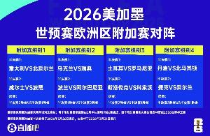 镜报:爱尔兰仅获不到1000张世预赛附加赛门票,赛前机票售罄