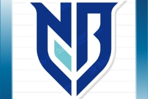 博主晒宁波队队徽：宁波首字缩写NB组成盾版造型，颜色由红转蓝