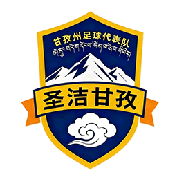 德阳队